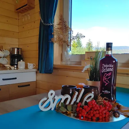 Przy Jeziorze Zywieckim Z Widokiem Na Skrzyczne Apartment Zywiec